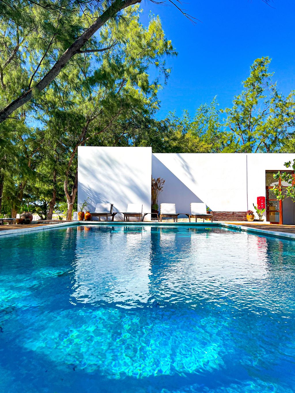 piscine logement tofo beach